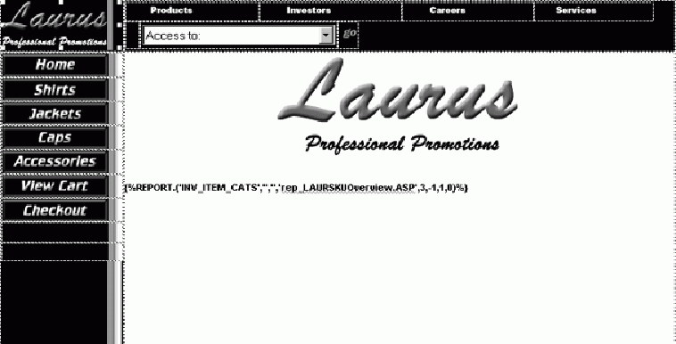 web design13